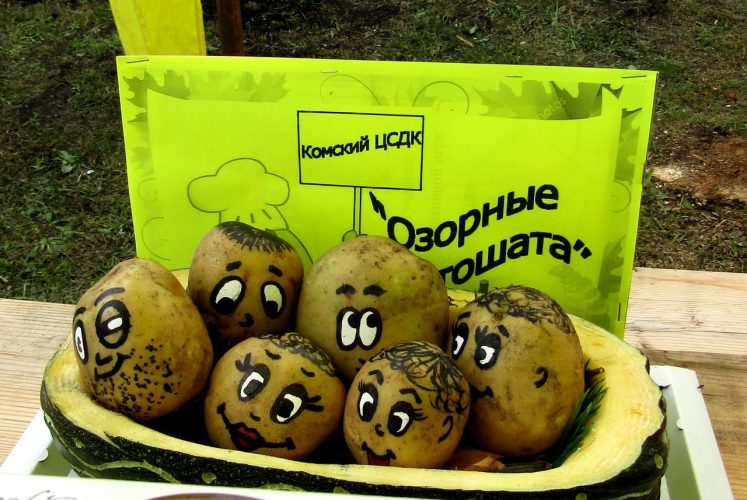 Комский ЦСДК на фестивале картошки